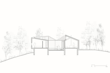 Forest House